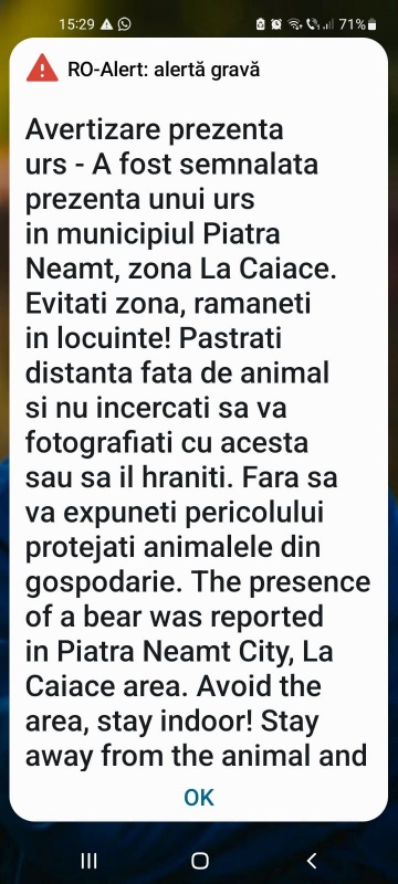 Ursul a revenit „La Caiace”, ZCH NEWS - sursa ta de informații