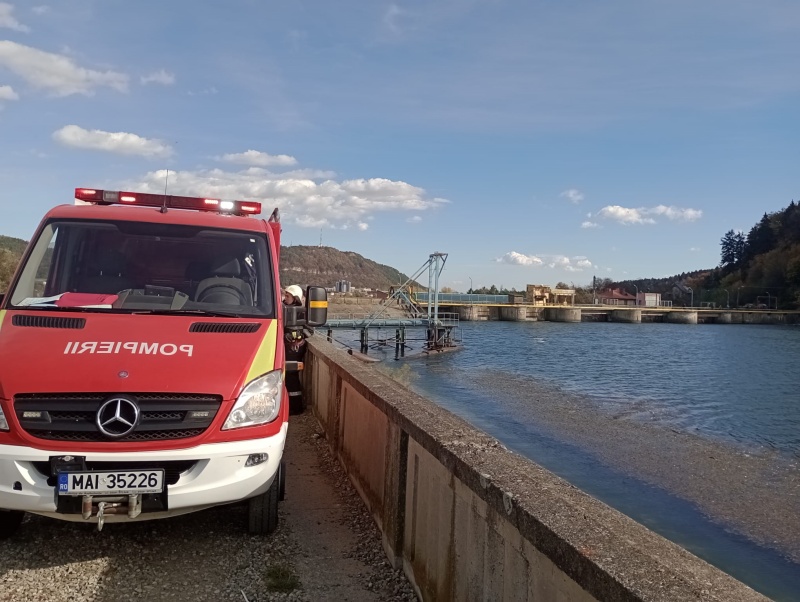 Lebede moarte pe lacul Bâtca Doamnei