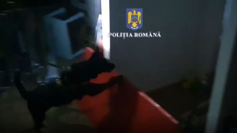 Video. Și câinii polițiști se antrenează!