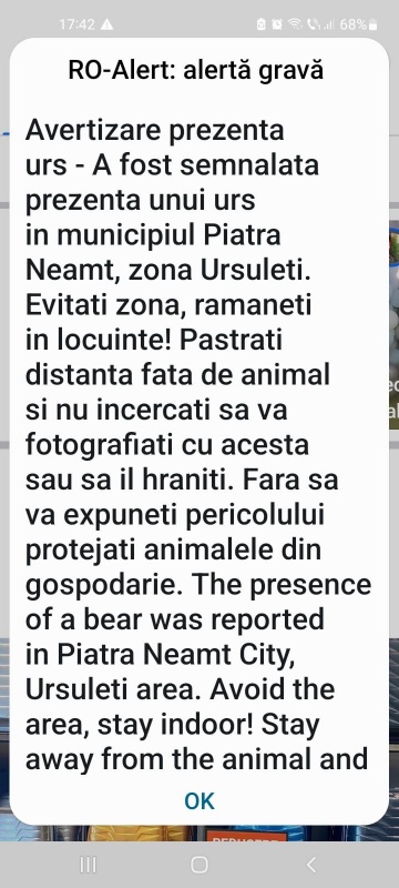 Ursul a ajuns din nou în Piatra Neamț, în zona Ursuleți, ZCH NEWS - sursa ta de informații
