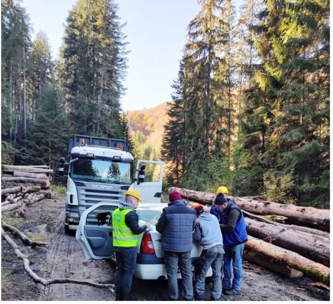 Aspre sancțiuni pentru firme din domeniul forestier, ZCH NEWS - sursa ta de informații