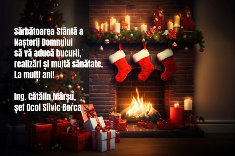 CRĂCIUN 2023. Urări de Crăciun din partea Direcției Silvice și a ocoalelor silvice din Neamț, ZCH NEWS - sursa ta de informații