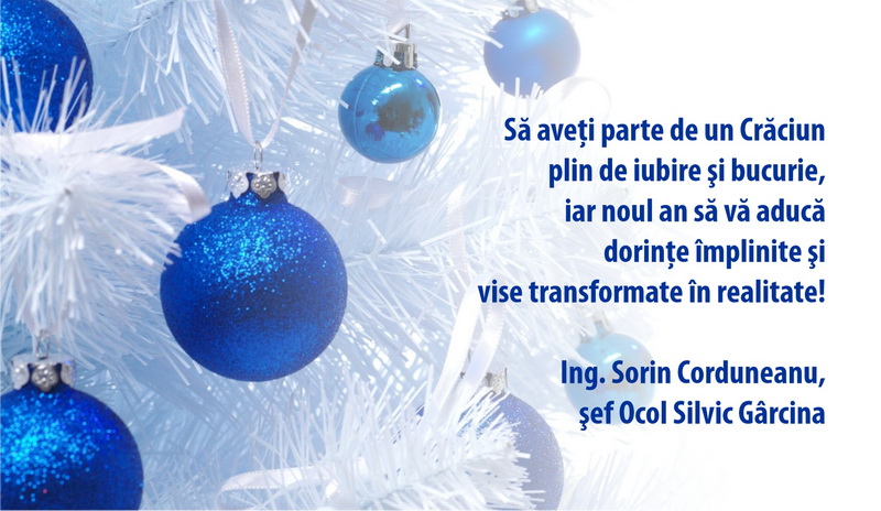 CRĂCIUN 2023. Urări de Crăciun din partea Direcției Silvice și a ocoalelor silvice din Neamț, ZCH NEWS - sursa ta de informații