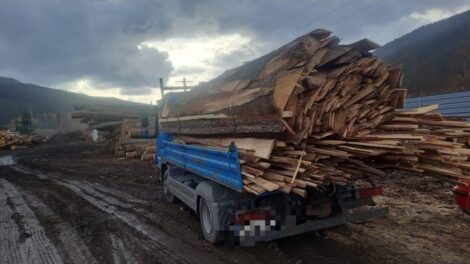 Furtul de lemne ustură la buzunare: amenzi de 10 ori mai mari decât valoarea lemnului furat!, ZCH NEWS - sursa ta de informații
