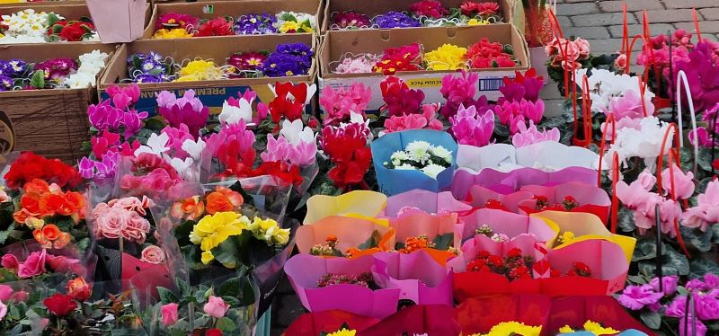 CMI Urban vă invită : Sărbătoriți primăvara cu flori de la producătorii locali în Piața Centrală!, ZCH NEWS - sursa ta de informații