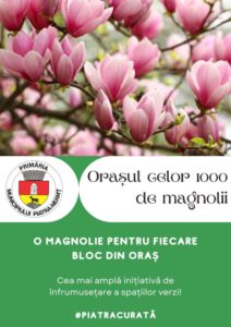 Piatra-Neamț, orașul celor 1000 de magnolii, ZCH NEWS - sursa ta de informații