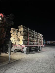 Transport ilegal de material lemnos în localitatea Borca, ZCH NEWS - sursa ta de informații