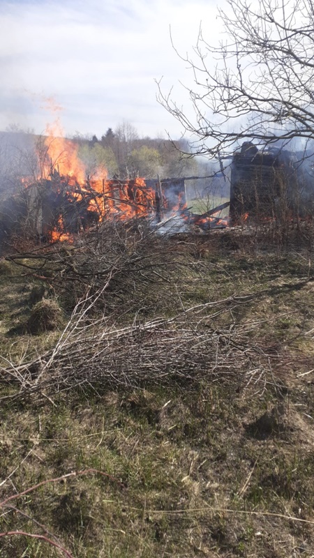 FOTO. Neamț. Nouă incendii de vegetaţie uscată în doar trei zile, ZCH NEWS - sursa ta de informații