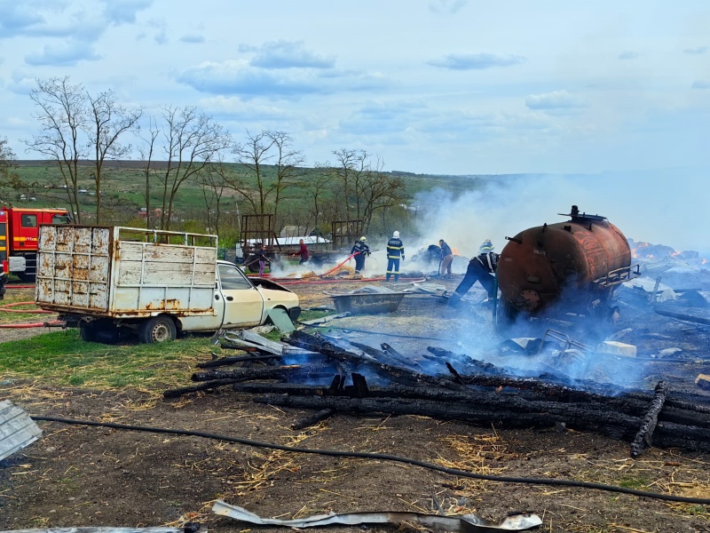 Foto-Video. O țigară aruncată neglijent a ucis 54 de vaci și a distrus o fermă întreagă!, ZCH NEWS - sursa ta de informații