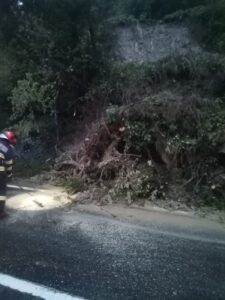 Posibilă alunecare de teren la Poiana Teiului: un arbore a căzut pe carosabil, ZCH NEWS - sursa ta de informații