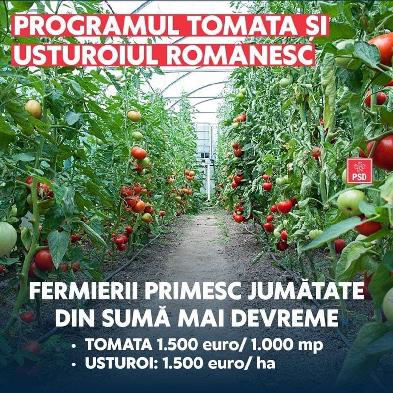 Comunicat de presă. PSD susține legumicultorii români