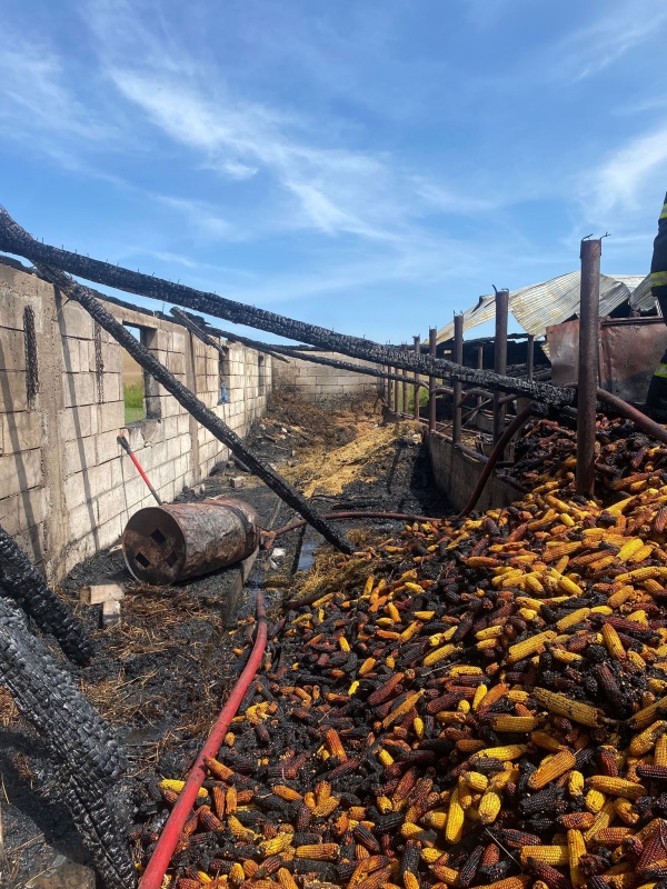 Incendiu la Hlăpești în Joia Mare