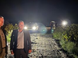 Desfășurare impresionantă de forțe pentru căutarea unui urs