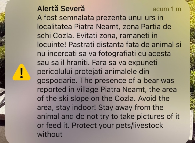 Mesaj Ro Alert: Urs în zona pârtiei de schi de pe Cozla