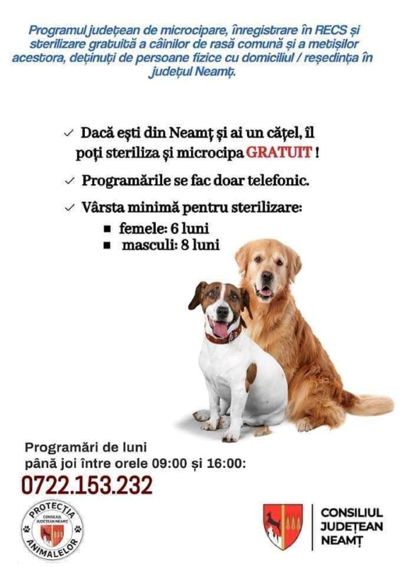 Campanie de sterilizare gratuită în Neamț