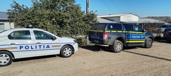 percheziții_ipj_neamț_protecția_animalelor_ Percheziții pentru fals în înscrisuri sub semnătură privată