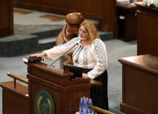 Diana Șoșoacă în Parlament