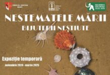 Expoziție inedită la Piatra Neamț. „Nestematele Mării – Bijuterii Neștiute”