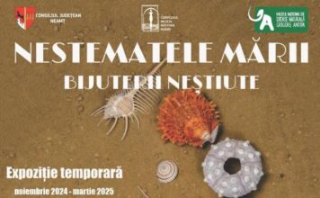 Expoziție inedită la Piatra Neamț. „Nestematele Mării – Bijuterii Neștiute”