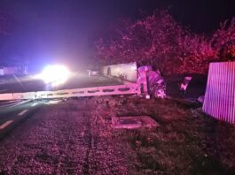 Accident pe DN 15D. Șoferul a fost depistat sub influența alcoolului