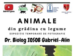 Expoziție de fotografie la Piatra Neamț