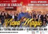 Concertul „Viena Magic”