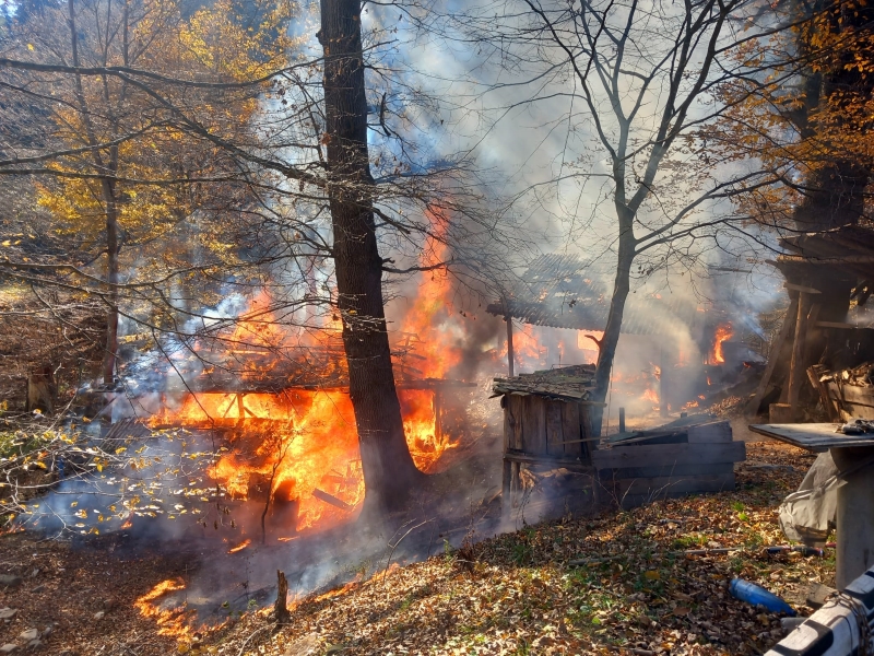 Locuință distrusă de foc