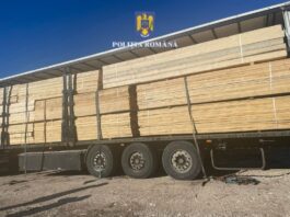 Lemn confiscat în valoare de 20.000 de lei Lemn confiscat în valoare de 20.000 de lei