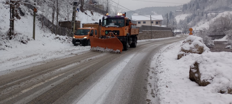 Atenție la polei și crengile căzute pe carosabil!