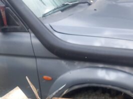 Foto. Braconajul face victime colaterale în Neamț Braconajul face victime colaterale în Neamț