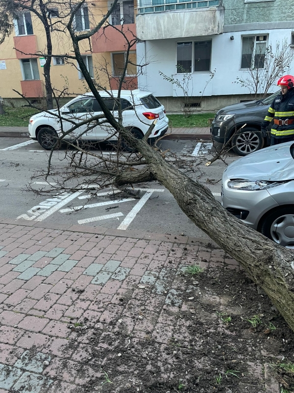 Intervenții ale pompierilor pentru arbori căzuți în Piatra-Neamț