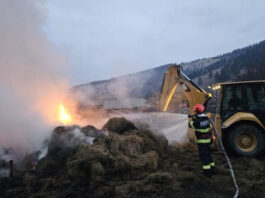 Incendiu în comuna Dămuc. Anexă gospodărească distrusă complet Incendiu în comuna Dămuc. Anexă gospodărească distrusă complet