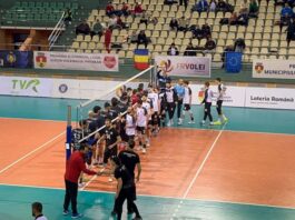 Volei