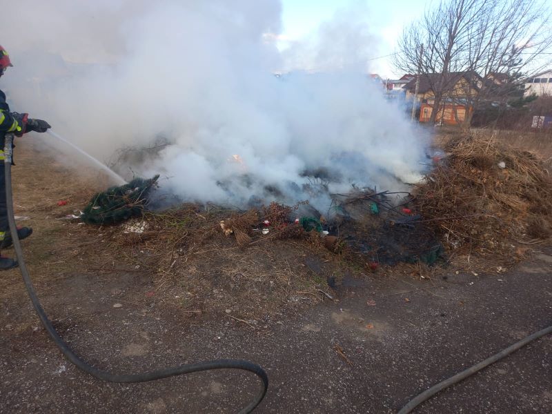 Incendiu provocat în cimitirul Pietricica