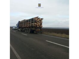 Neamț. 7,25 m³ de lemn de fag pentru foc, în valoare de 1.906 lei, „indisponibilizat de polițiști” Lemn confiscat în valoare de 145.000 lei și amenzi de 86.000 lei în prima lună a anului