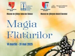 Expoziția temporară „Magia fluturilor” la Muzeul de Științe Naturale Roman Expoziția temporară, „Magia fluturilor” la Muzeul de Științe Naturale Roman