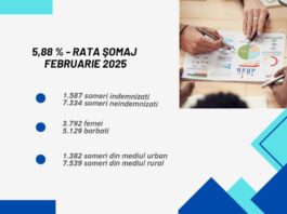 Aproape 9.000 de nemțeni sunt șomeri: doar 1.500 mai sunt sprijiniți financiar de stat