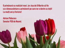 8 MARTIE 2025 Mesajele politicienilor nemțeni