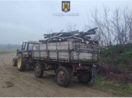 Prins fără permis și cu transport ilegal de lemn, pe un utilaj agricol neînmatriculat
