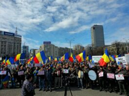 220 de silvicultori nemțeni participă la protestul din București