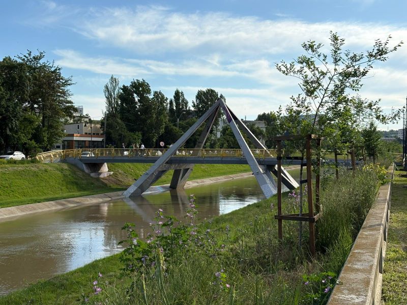 Două cazuri extreme în Neamț și Iași: o persoană și-a pierdut viața, o alta este în stare gravă