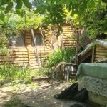 Video–foto. Piatra-Neamț: Demolarea unor construcții improvizate din Dărmănești îi va costa câteva mii de lei pe inițiatori