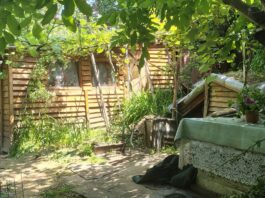 Video–foto. Piatra-Neamț: Demolarea unor construcții improvizate din Dărmănești îi va costa câteva mii de lei pe inițiatori