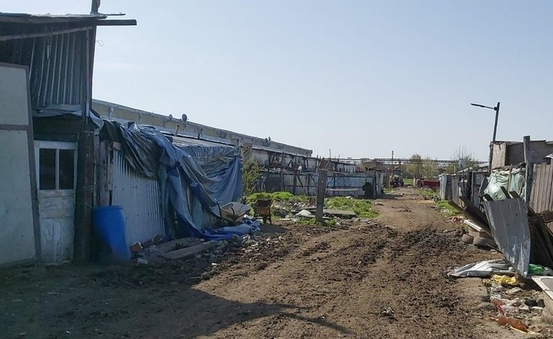 Roman. Copii din strada Fabricii exploatați de proprii părinți. Trei persoane riscă închisoare