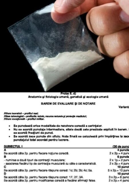 Neamț. Condamnări în dosarul elevului care a dat bacalaureatul în arest