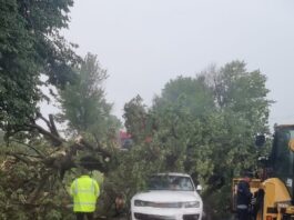 Știre actualizată. Furtuna în Neamț: copaci căzuți pe șosea și peste un autoturism Furtuna în Neamț: copaci c_ăzuți pe șosea și peste un autoturism