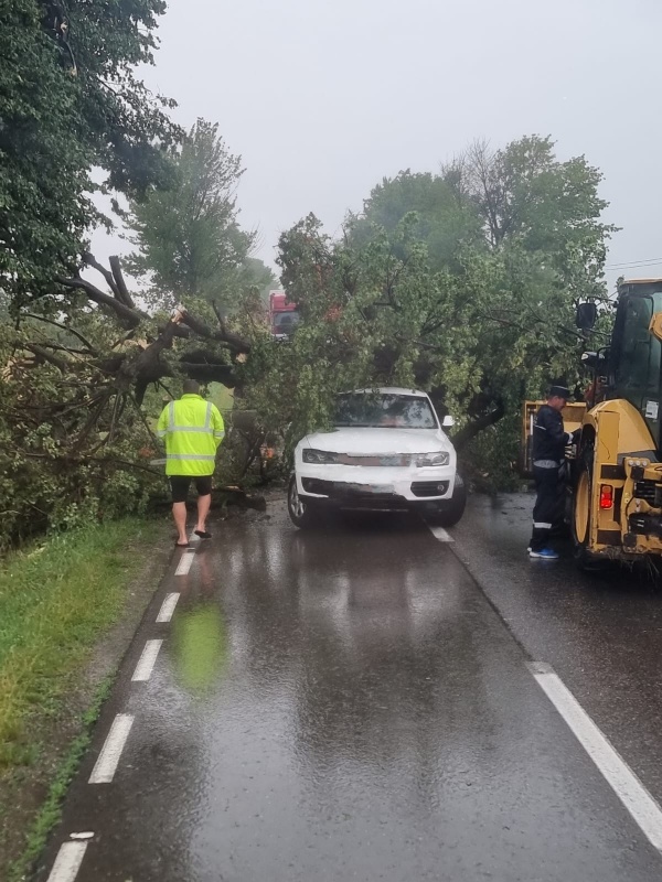 Furtuna în Neamț: copaci c_ăzuți pe șosea și peste un autoturism