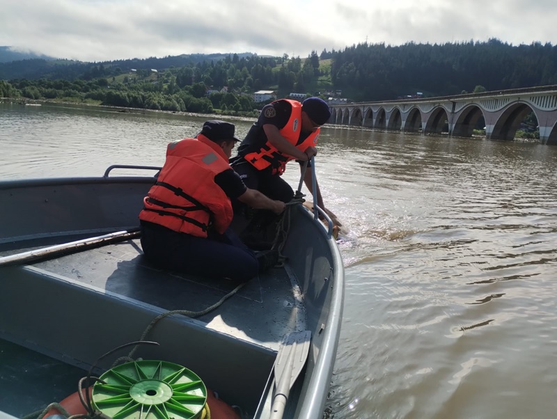 FOTO. Vacă salvată din albia râului Bistrița
