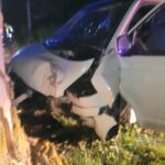 A fugit de poliție pentru că era băut și s-a oprit într-un copac