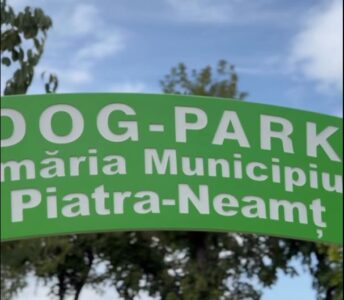 Cinci parcuri pentru căței în Piatra-Neamț 1 Cinci parcuri pentru căței în Piatra-Neamț